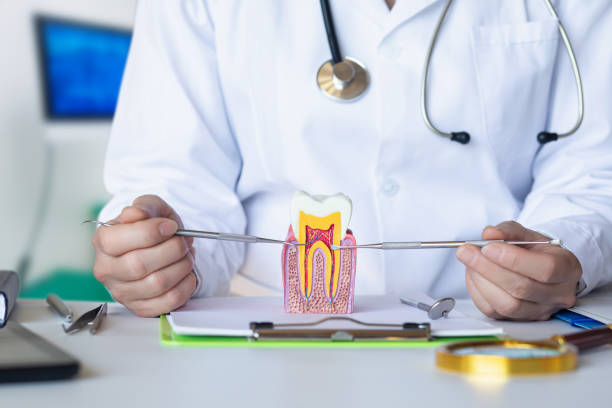 Best Emergency Root Canal Treatment in Sallisaw, OK